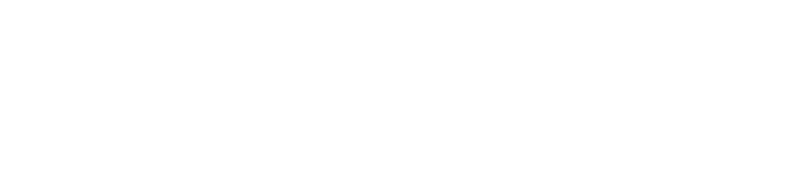 YVELIA Global Impex LLP